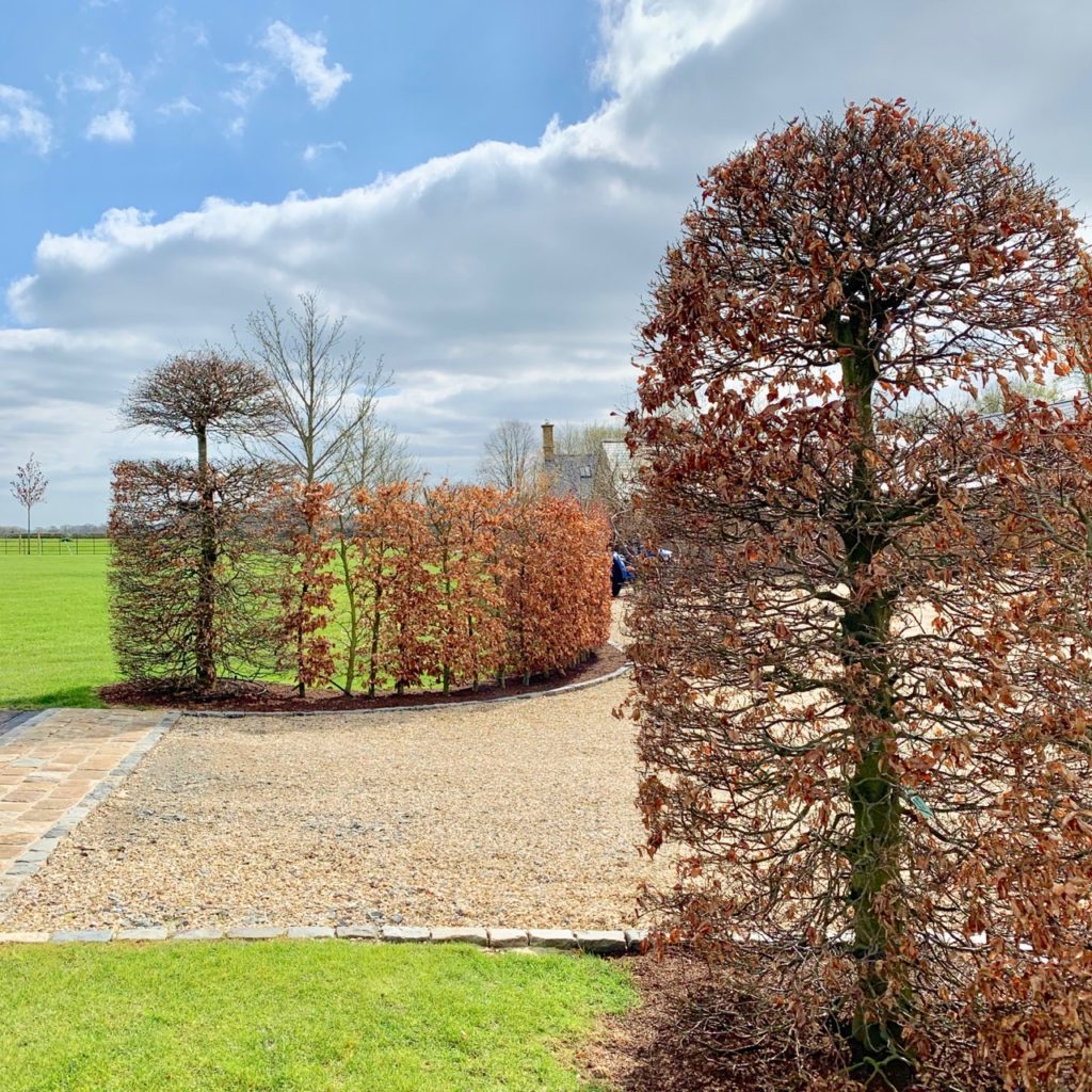 Cotswold garden with beech hedge details by Jo Alderson Design