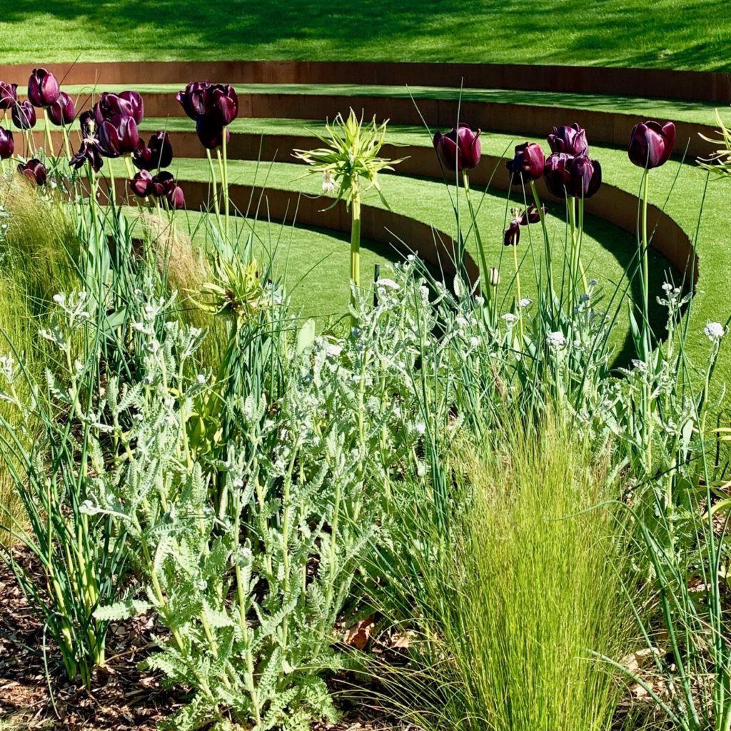 I love this shot detailing the Corten steel steps & dramatic planting in this scheme I designed