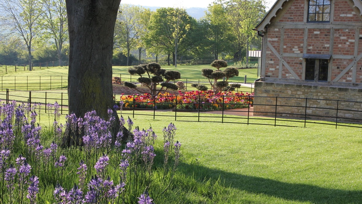 A view from the drive towards the Tudor Cottage with pretty & colourful planting for my colour loving clients