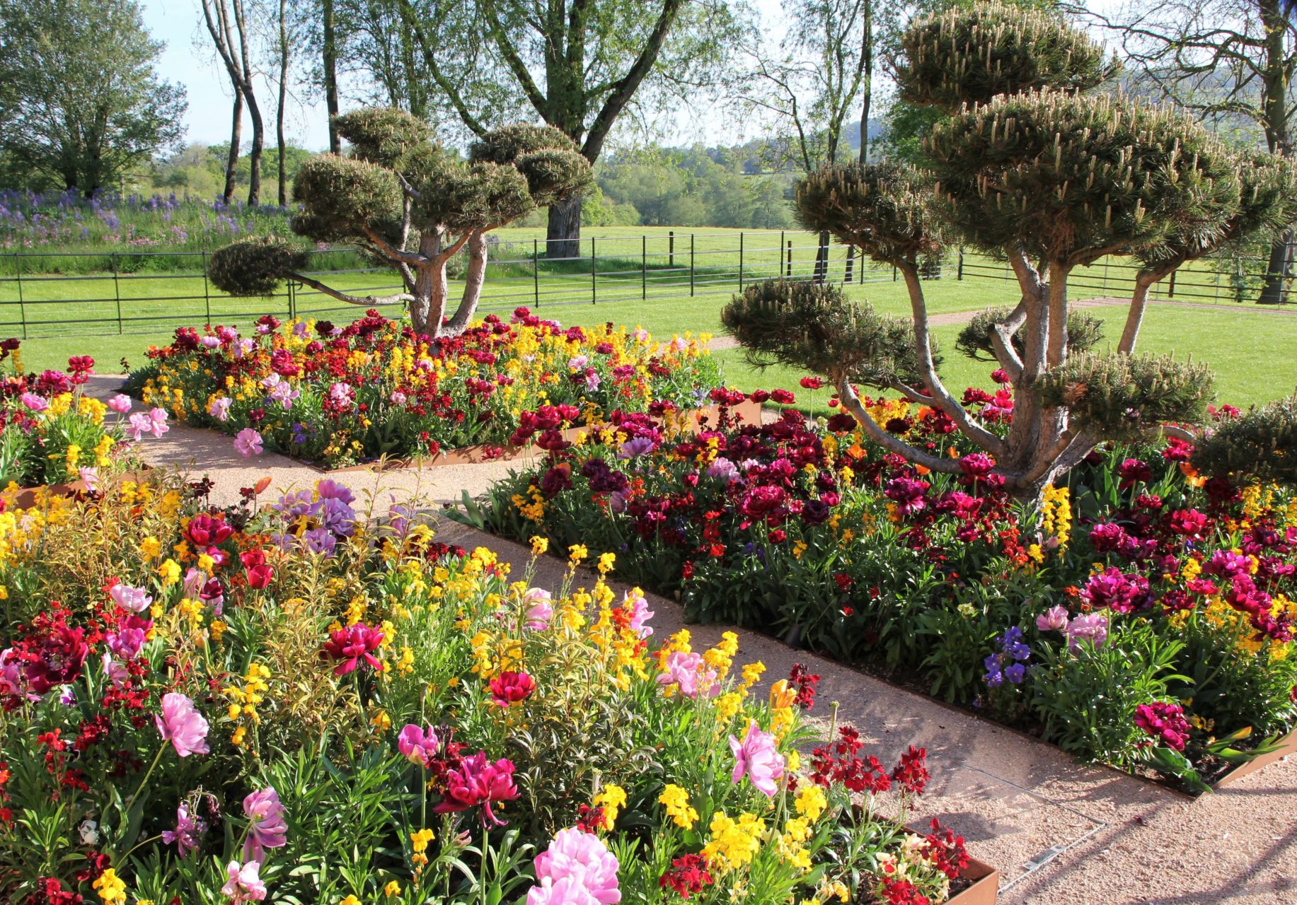 my clients loved colour so this area has a mass of colourful planting throughout the seasons