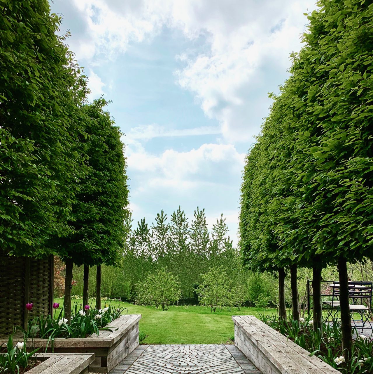 A view from the kitchen garden towards the hidden boardwalk. Design by www.joannealderson.com