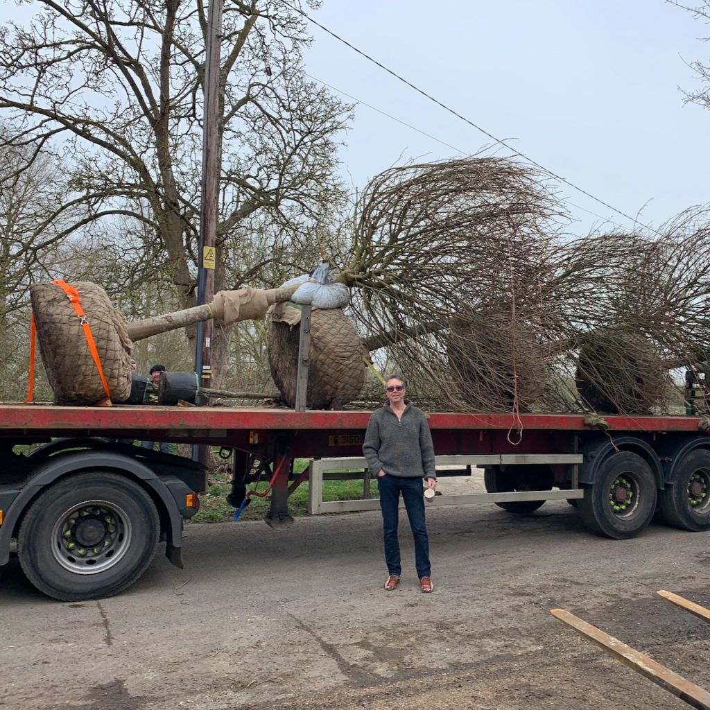 trees on the lorry 