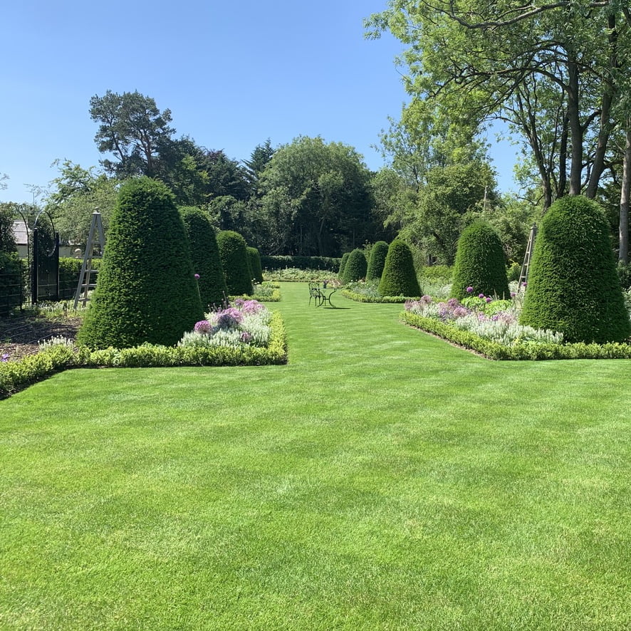 A formal secret garden with mature topiary designed by Jo Alderson Phillips @ Joanne Alderson Design