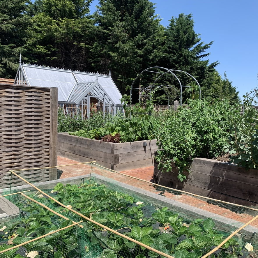 Chilterns kitchen garden with Alitex greenhouse & raised beds by Jo Alderson Design