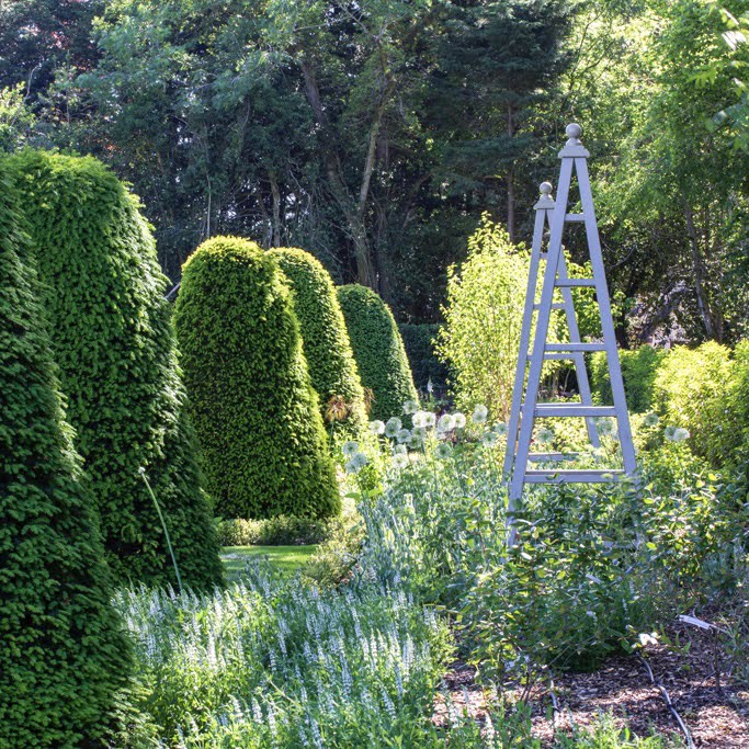 Formal garden design with large flower beds & huge obelisks. Designed by www.joannealderson.com