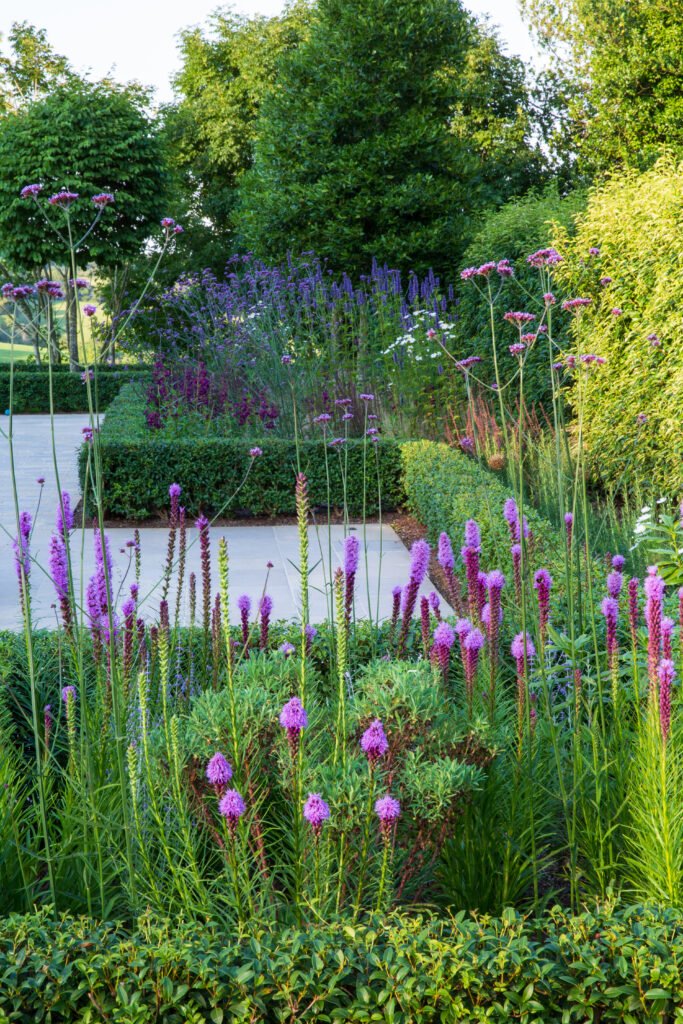 parterre at Pips Place by Jo Alderson Phillips. www.joannealderson.com