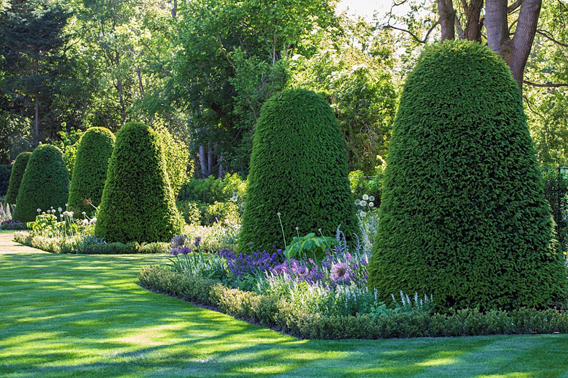 Formal garden design part of a secret garden by www.joannealderson.com