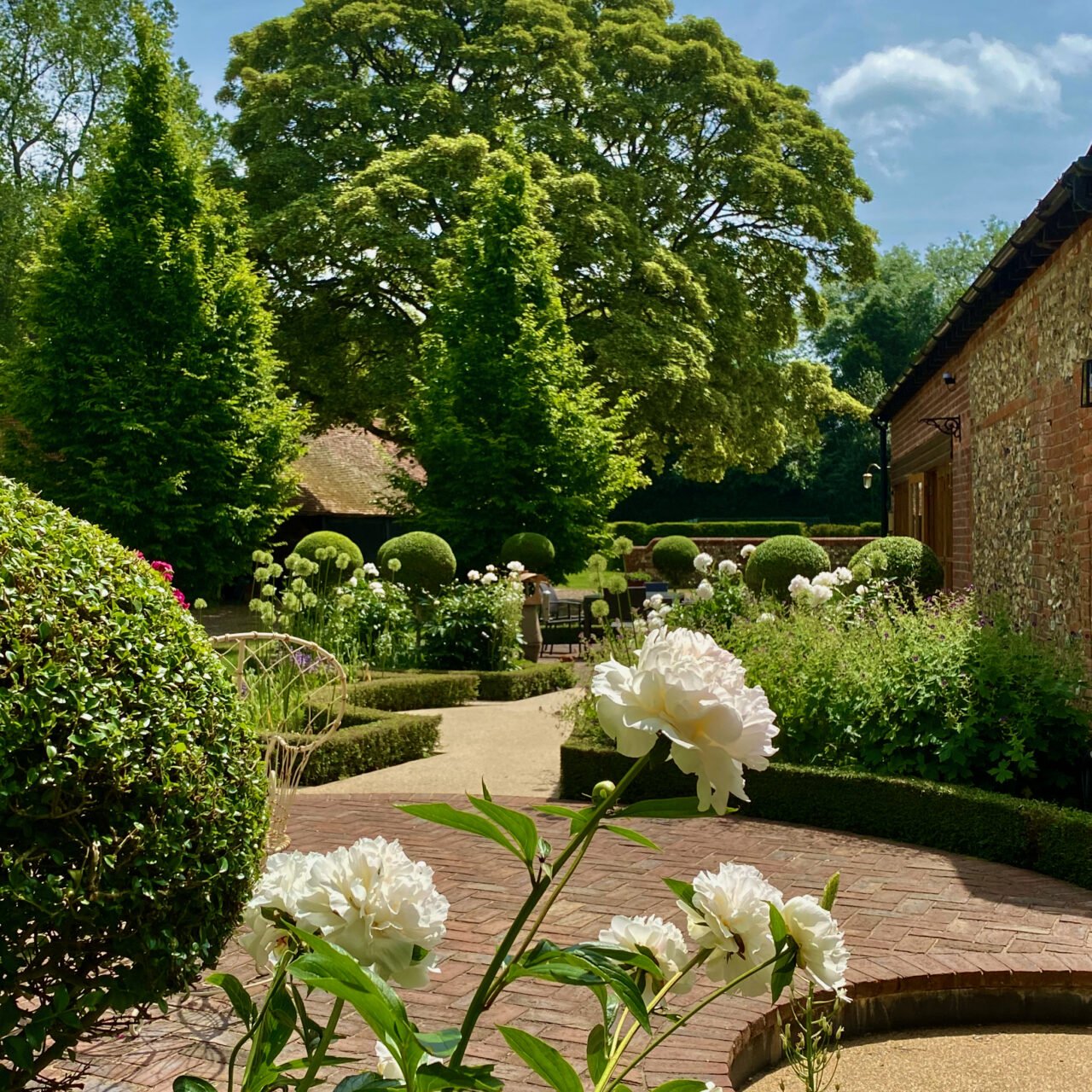 pretty garden in Henley designed by www.joannealderson.com