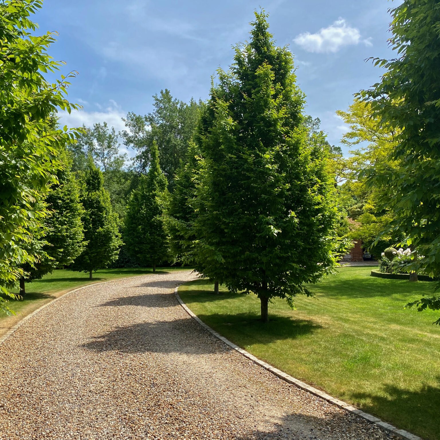 Revisiting the walled garden with parterre - Jo Alderson Phillips