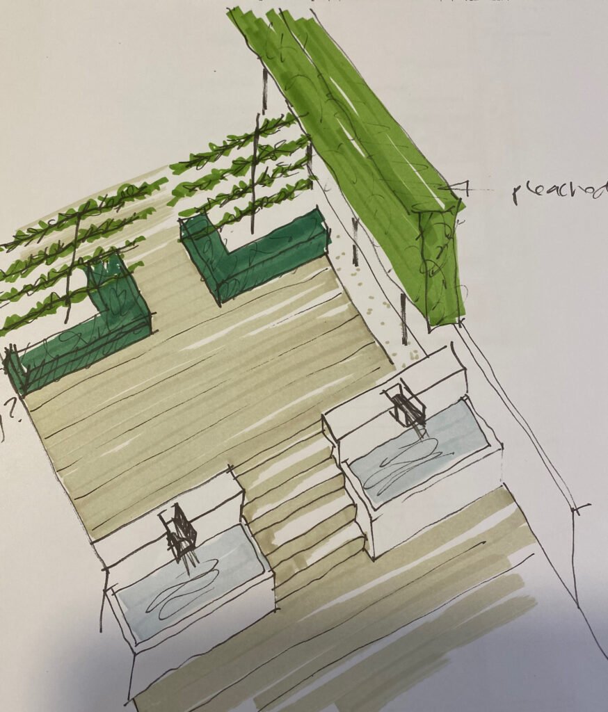 sketch of courtyard garden