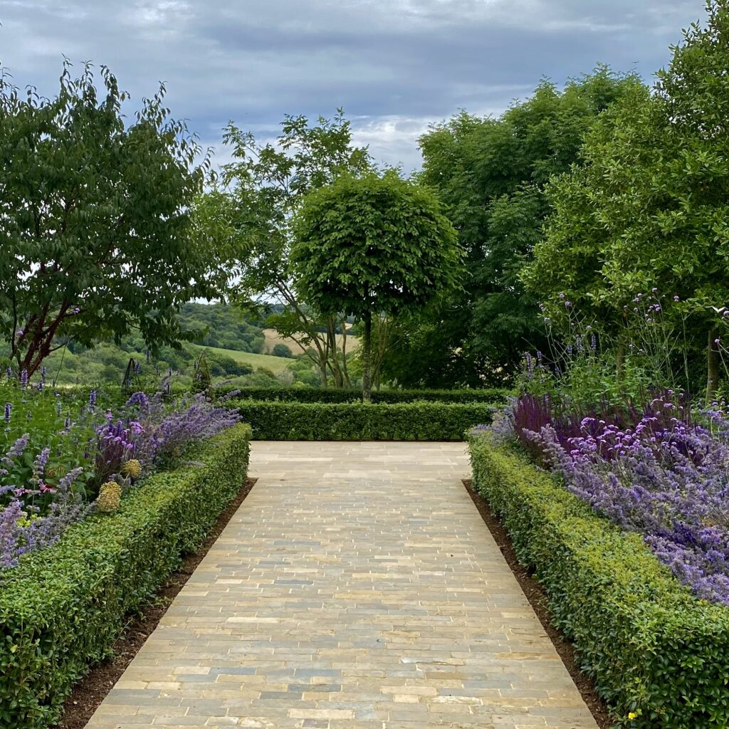 Beautiful courtyard with topiary by Joanne Alderson Design ltd
