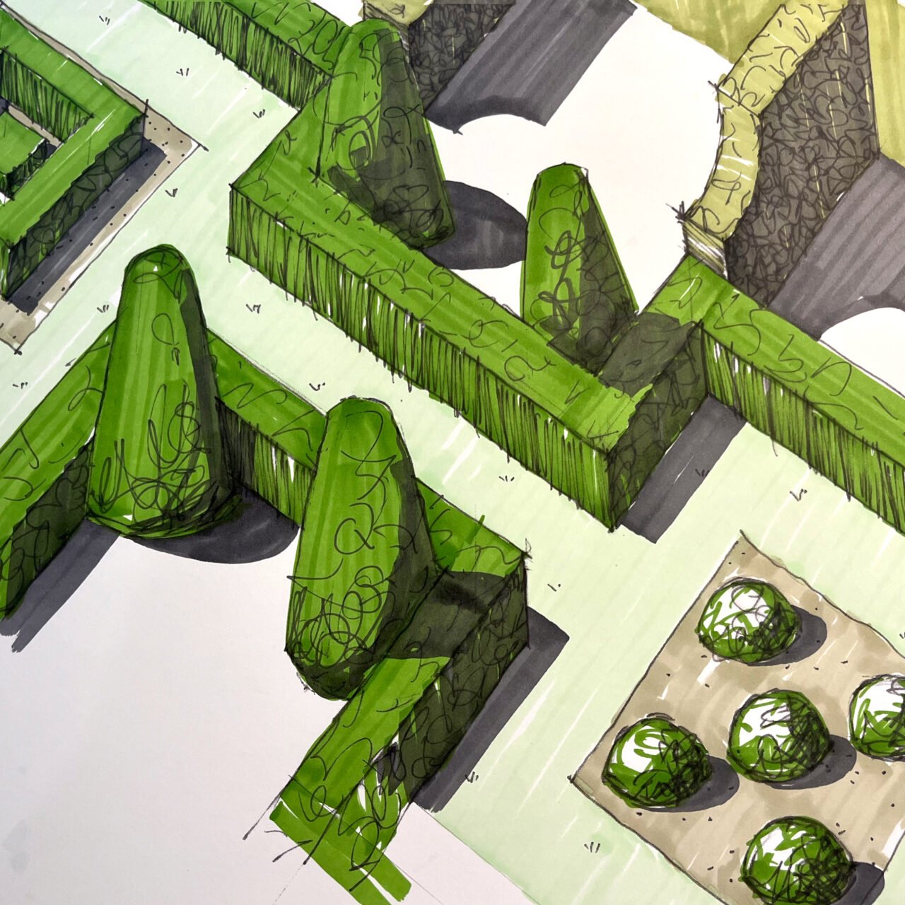 Designing a new topiary garden - Jo Alderson Phillips