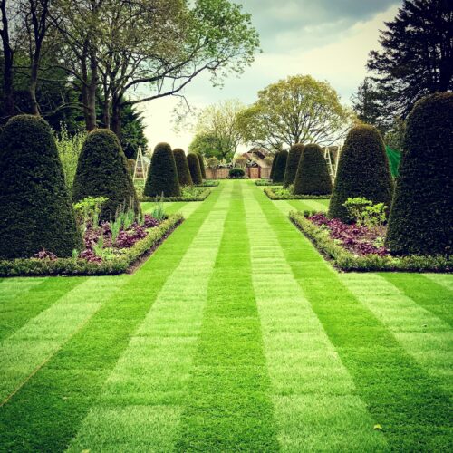 Designing a new topiary garden - Jo Alderson Phillips