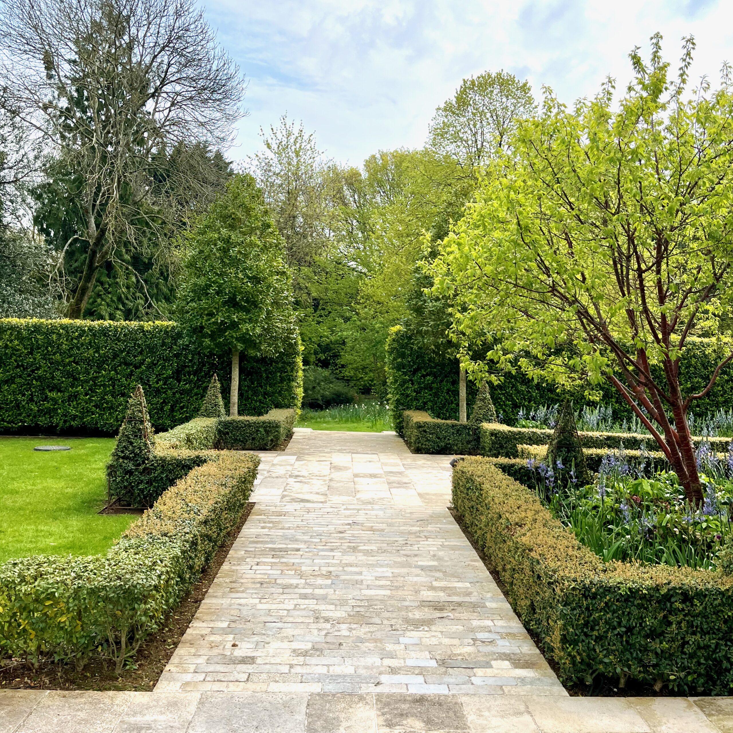 clipped topiary