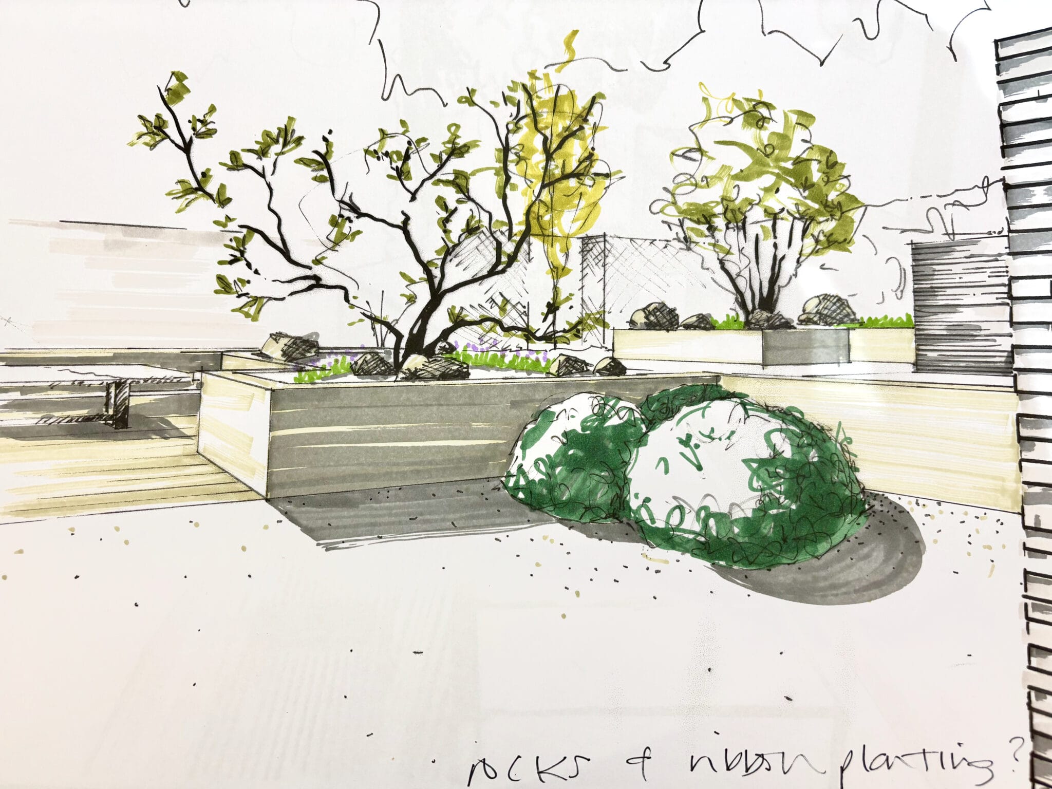 My Drawings - Joanne Alderson Phillips