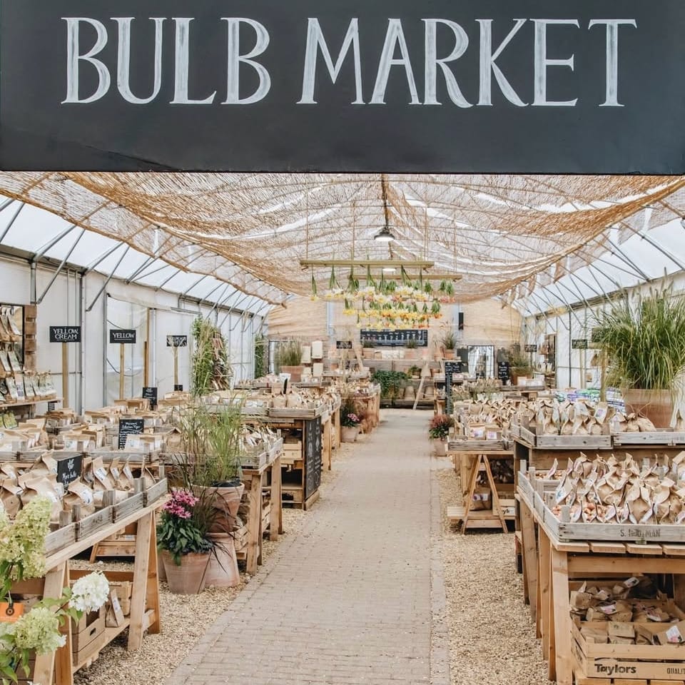 Burford garden centre bulb display