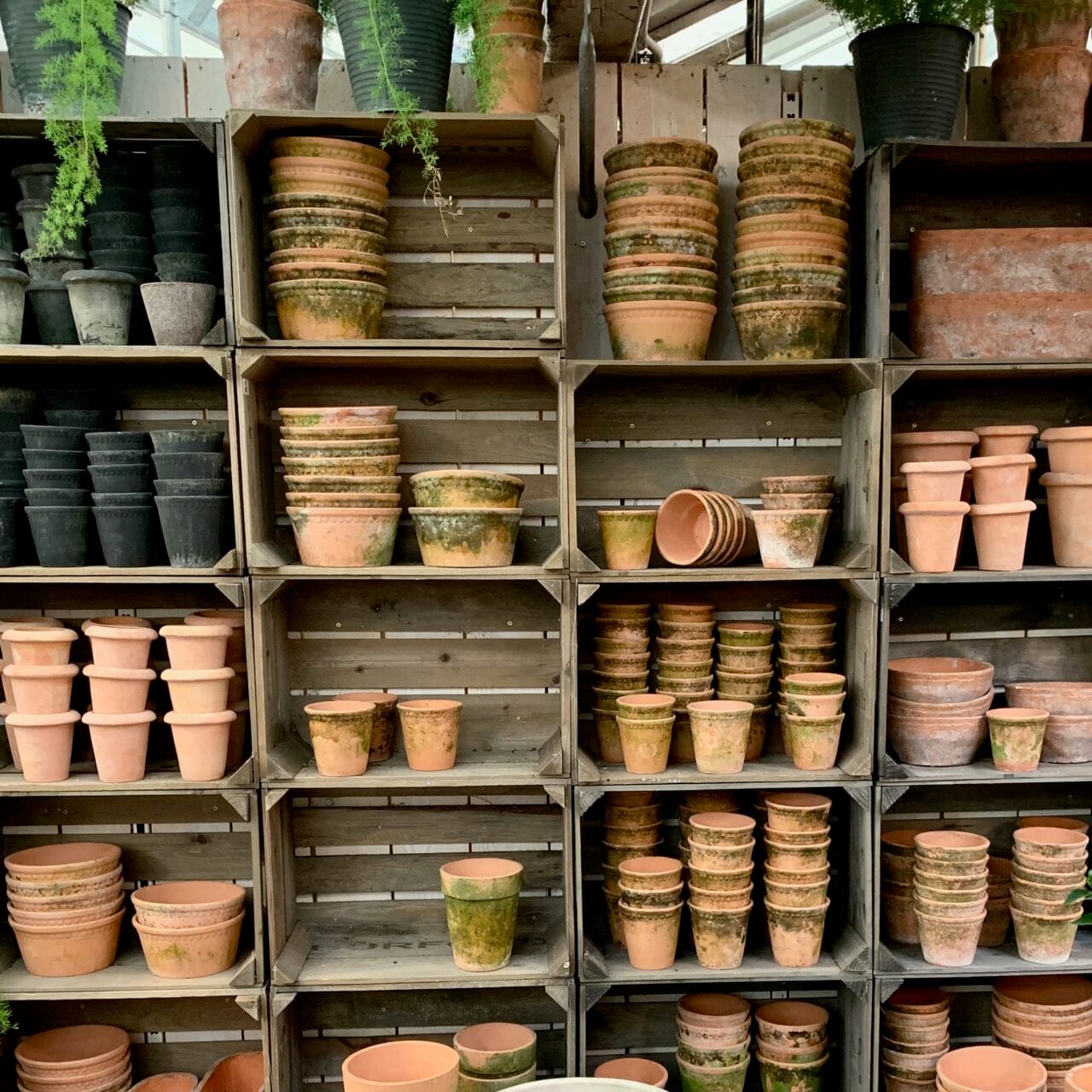 Burford - posh garden centre