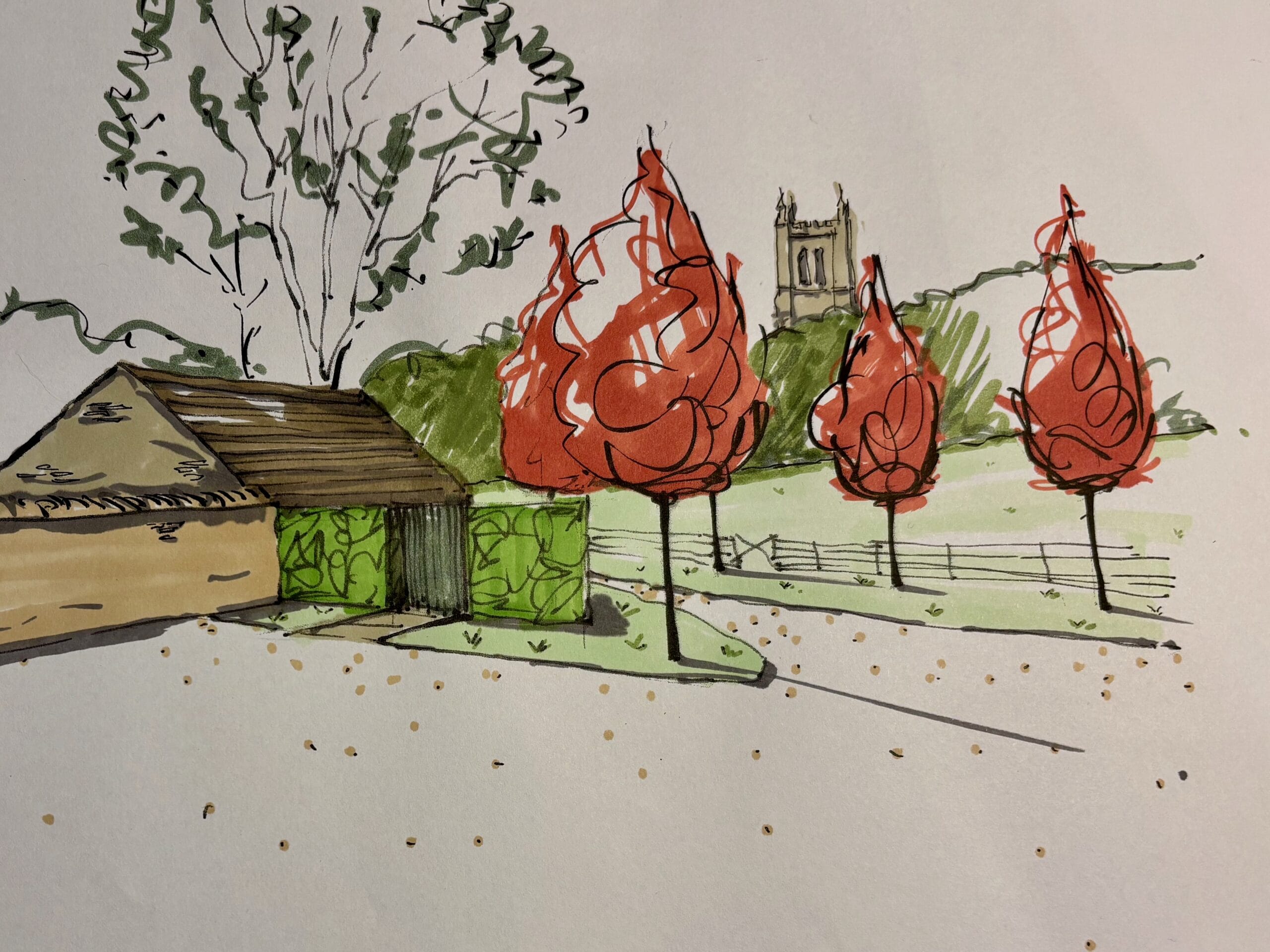 Front garden design drawing showing new acer Autumn Blaze trees & the church in the background