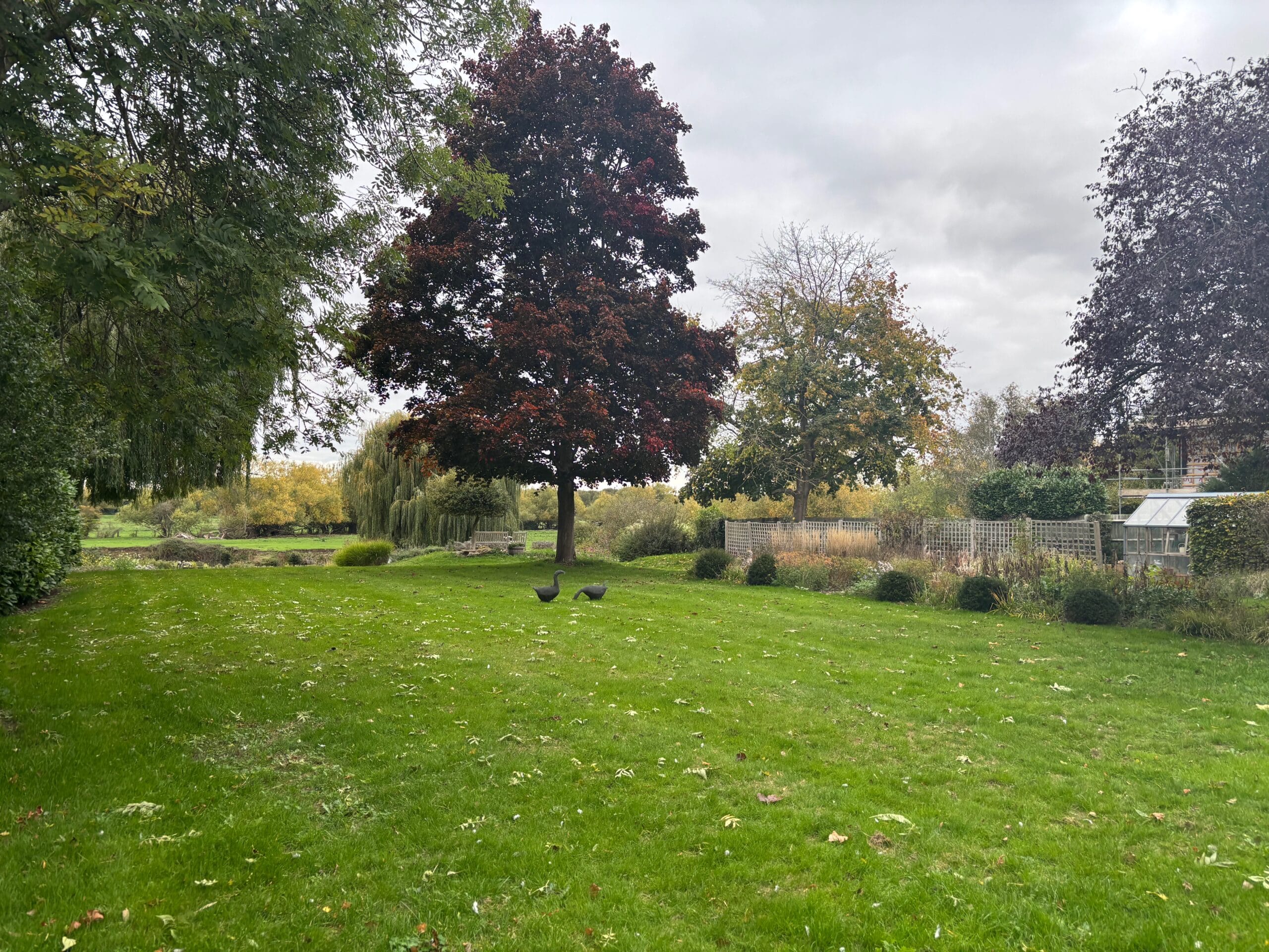 the before shot of the garden beside the Thames